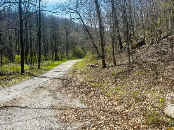 0 Pittman Branch Rd, Mount Vernon, KY 40456