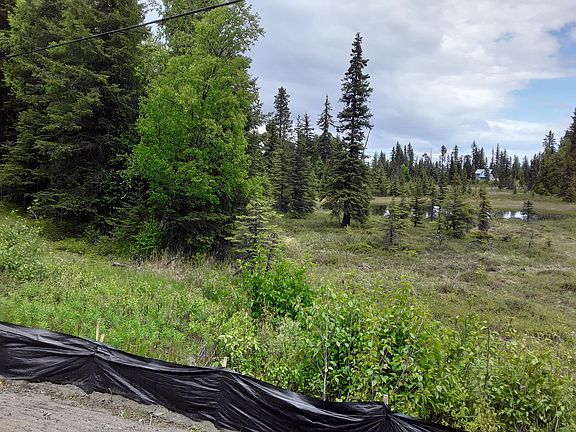3rd image of 38410 Old Sterling Hwy