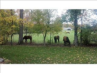 2nd image of 6849 Woodhaven Pl
