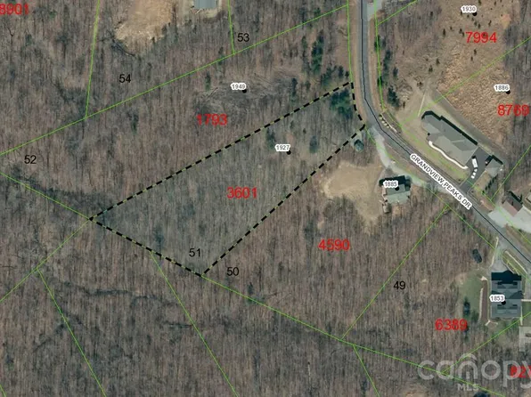 1927 Grandview Peaks Dr #51, Nebo, NC 28761