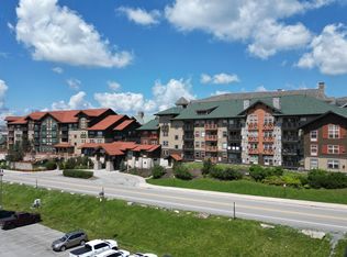 Rimfire, Snowshoe, WV 26209