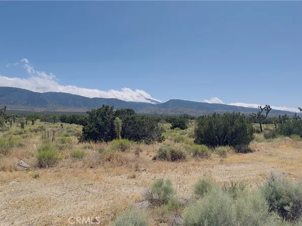 31 State Highway 138 Lot 1, Llano, CA 93544