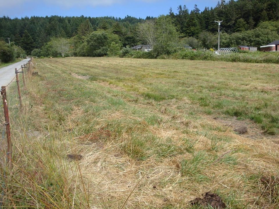 DSC07726