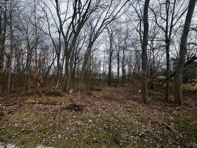 0 Maple St, Greenwich, OH, 44837