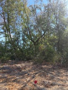 SE 161st St Lot 36, Summerfield, FL, 34491