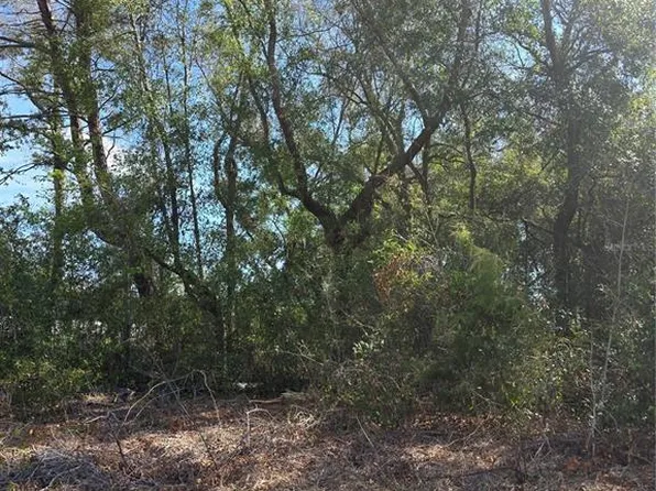 SE 84th Ter Lot 4, Summerfield, FL 34491