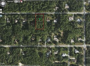 1164 W Olympia St, Hernando, FL 34442