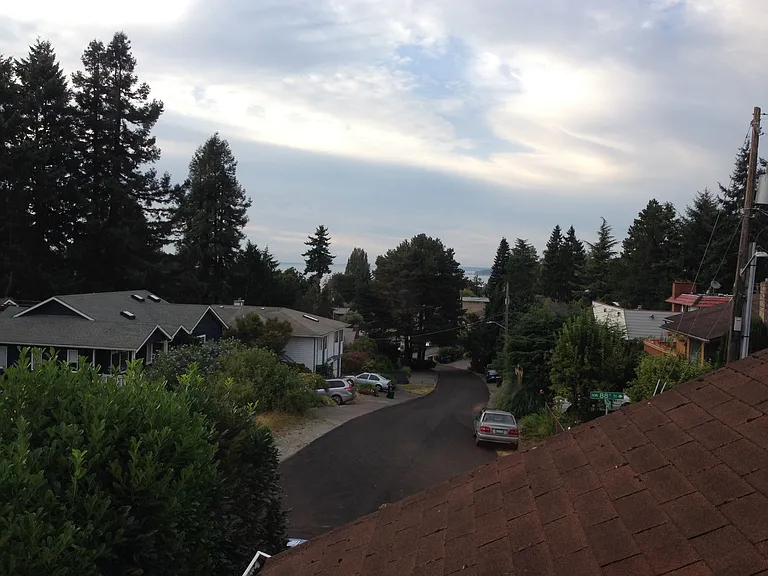 View from Kitchen Window