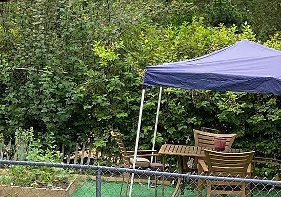 Tranquility garden and relaxing area