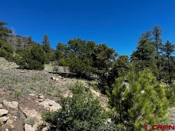 Lot 33 Little Bear Circle, South Fork, CO 81154