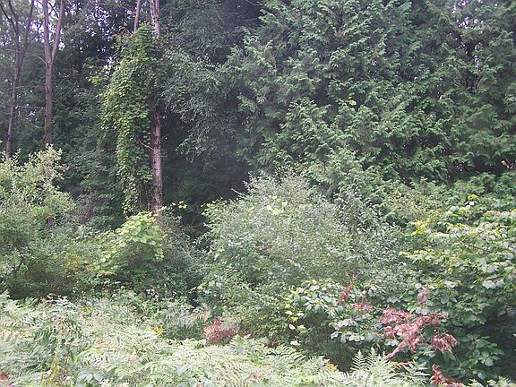 3rd image of 21124 40th Ave.