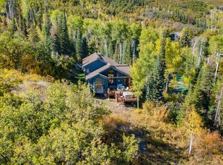 31055 Tree Top Ln, Steamboat Springs, CO 80487