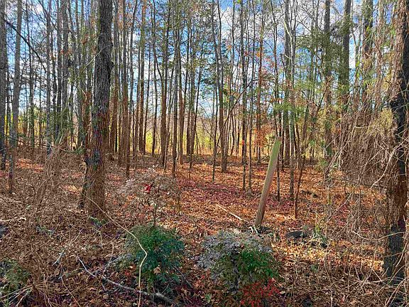 2nd image of Mount Carmel Rd