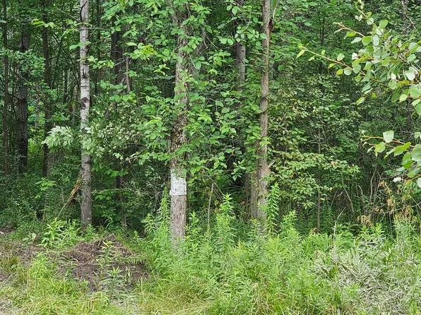 LOT E Burfield Rd, Osceola, PA 16942