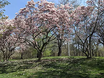 Rented by Daniel Gale Sotheby's International Realty