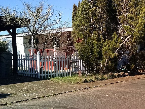 Nice Yard