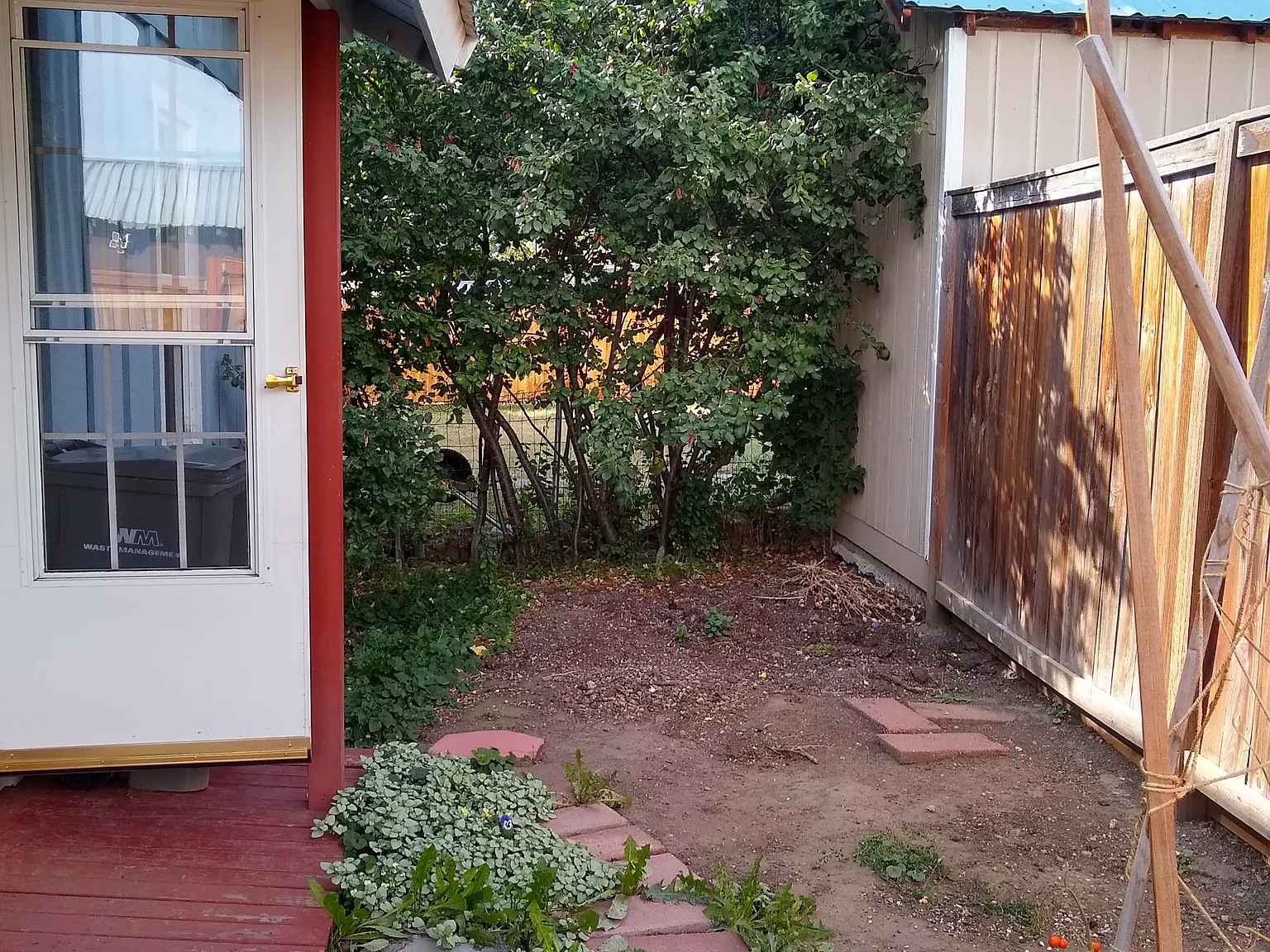 1 bed, 480 sqft, $1,000 — Photo 4