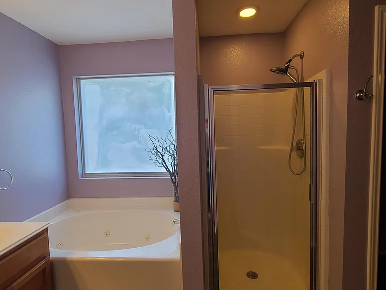 Jetted tub and separate shower
