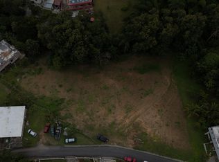 Carr 171 Km #7.2, Cayey, PR 00737