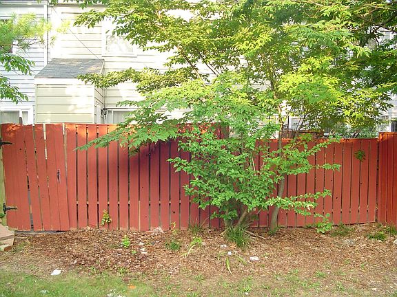 Back fence