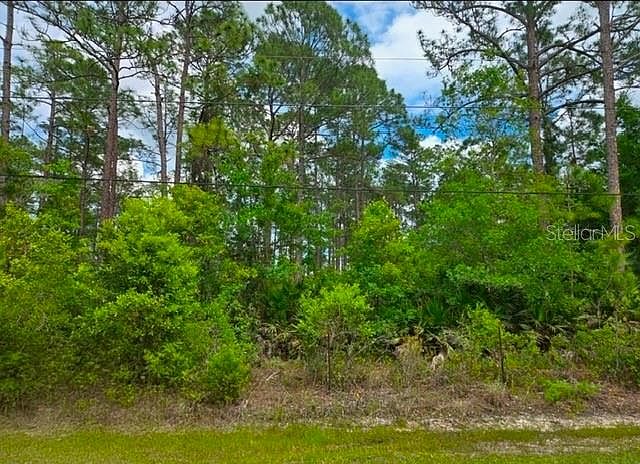 1st image of 1747 CANDLEBERRY STREET LOT 11