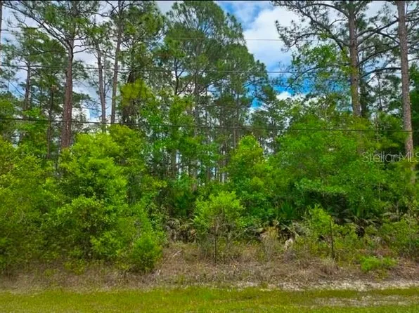 1747 Candleberry St Lot 11, Bunnell, FL 32110