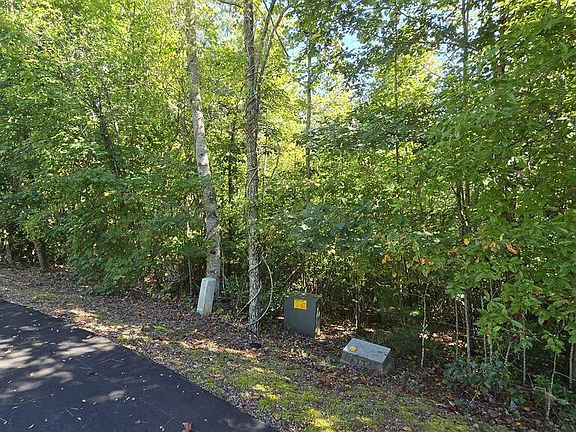 5th image of 23 Dan Knob Dr