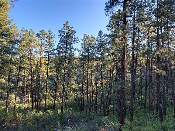 5th image of Lot 5 Beaver Creek Ranch Dr