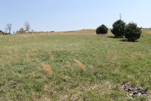 2nd image of LOT 10 Halter Trl