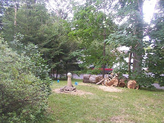 back/unsafe tree removed