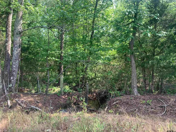 County Road 1670, Mount Pleasant, TX 75455