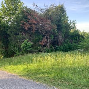 3705 Roberts Port Rd, Nancy, KY, 42544