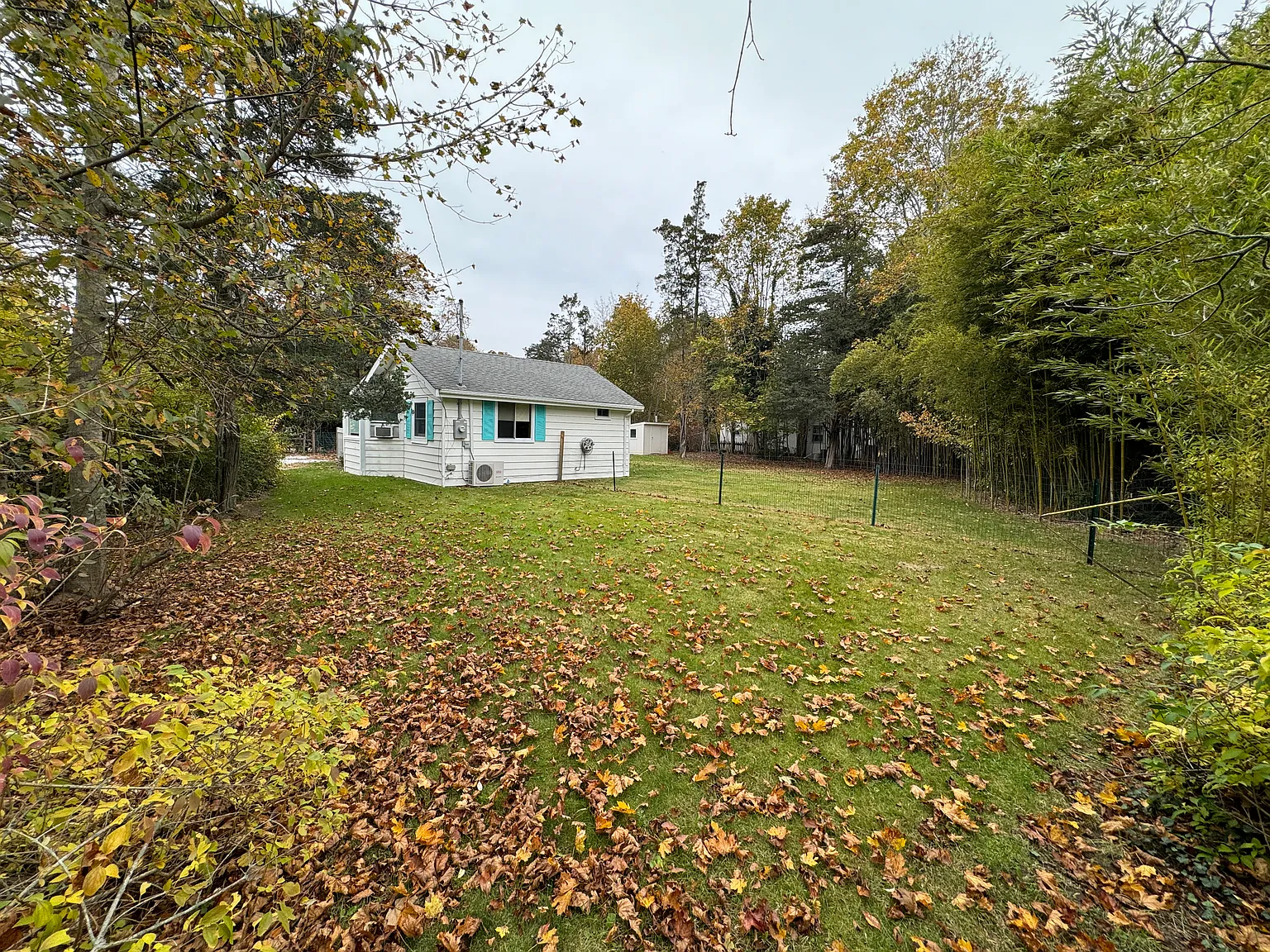 North Sea Cottage — Photo 2