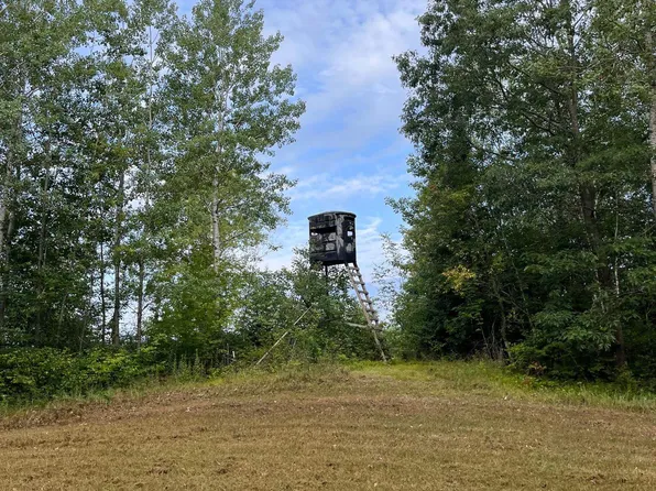 14237 Dufek Ln, Mountain, WI 54149