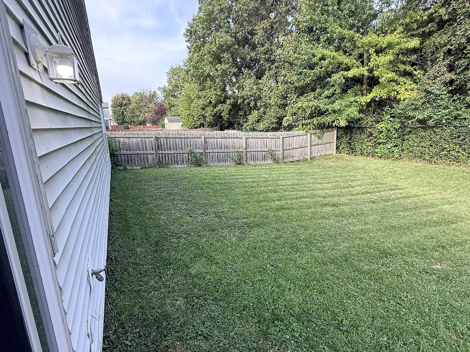 3245 Capsella Lane - 1 — Photo 3