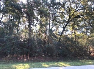 25310 Bancock Ct, Magnolia, TX 77355