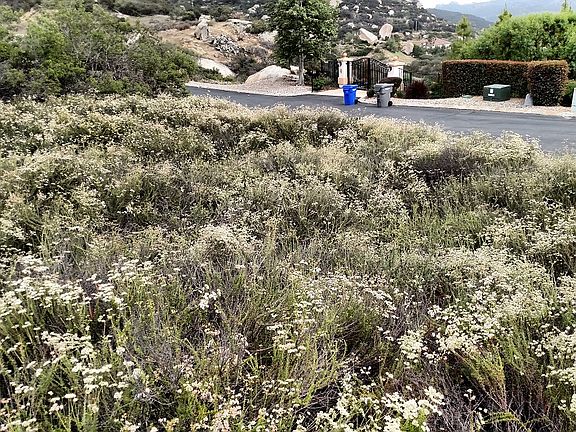 2nd image of Meadow Glen