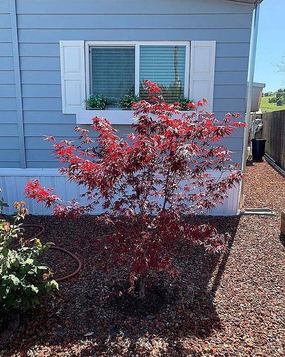 1st image of 61 Portola Cir