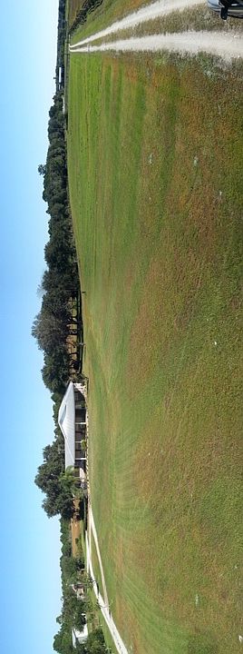 Open pasture