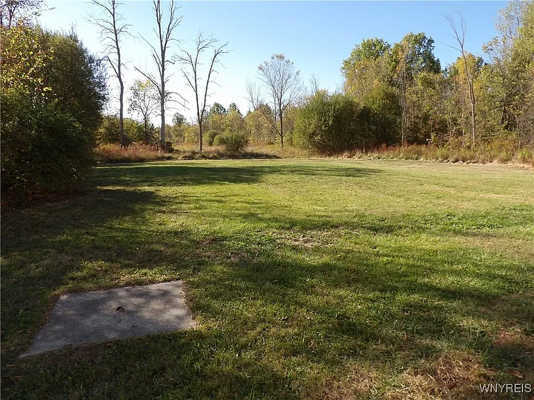 10332 Transit Rd — Photo 8