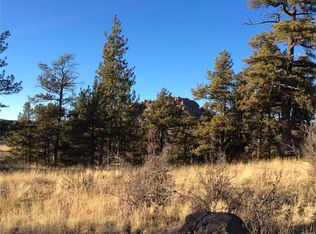 263 Apache Trl, Florissant, CO 80816