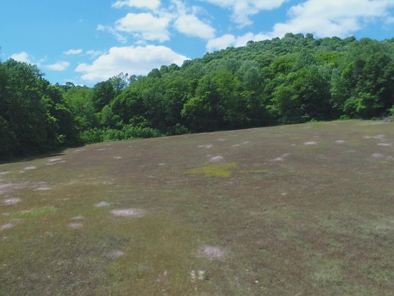 3rd image of 4570 Pointer Creek Rd