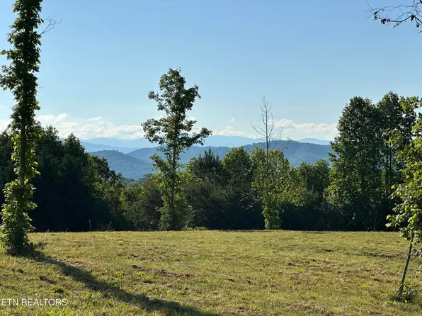 7 Curtis Rd, Tellico Plains, TN 37385