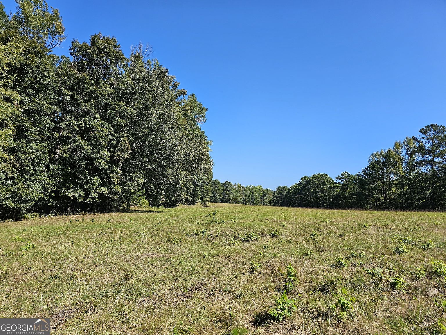 0 Highway 16 E TRACT 4, Monticello, GA 31064 | MLS #10219557 | Zillow