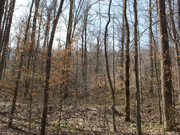 0 Highway 66, Pineville, KY 40977