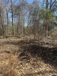 King Arthur Court Lots 7 8 9 #31-32-30, Scroggins, TX, 75480