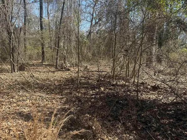 King Arthur Court Lots 7 8 9 #31-32-30, Scroggins, TX 75480