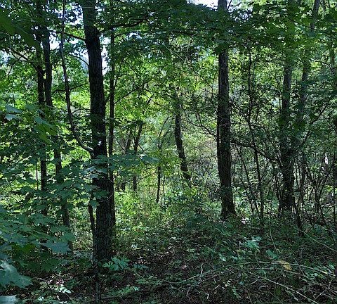 2nd image of Nalley Rd