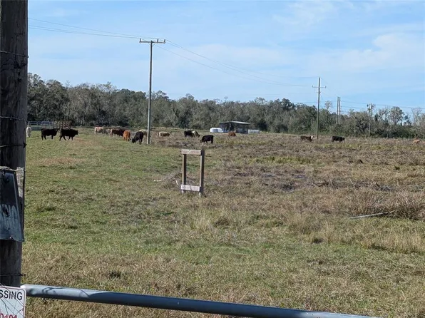 1291 NE Hansel Ave, Arcadia, FL 34266