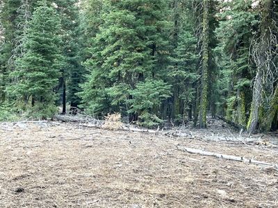 0 California Pines Blvd #9, Alturas, CA, 96101